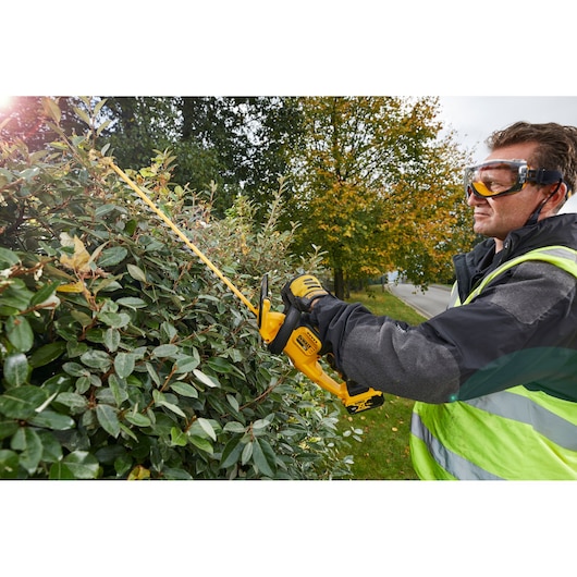 Person uses DEWALT DCM563PB hedge trimmer outdoors, trimming bushes near a street with autumn trees in background.