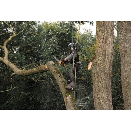 Worker using DEWALT chainsaw for tree cutting while suspended by ropes in protective gear outdoors.