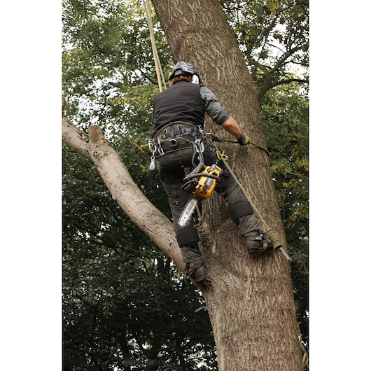 Person climbing tree with safety gear and a DEWALT chainsaw attached to their belt.