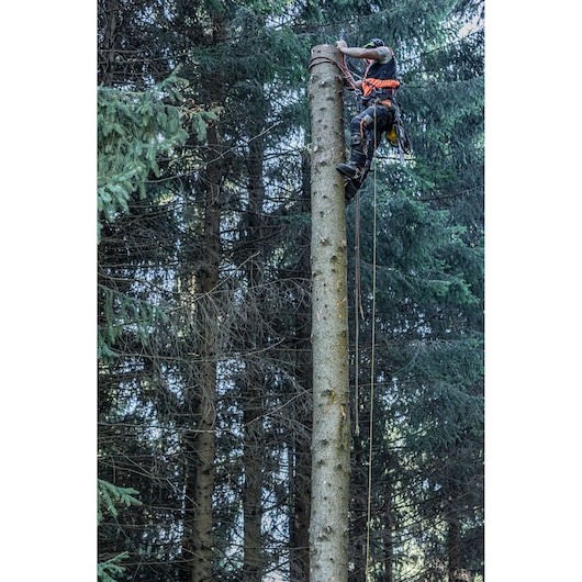 Worker climbs a tall tree stump in a forest using safety gear and ropes.