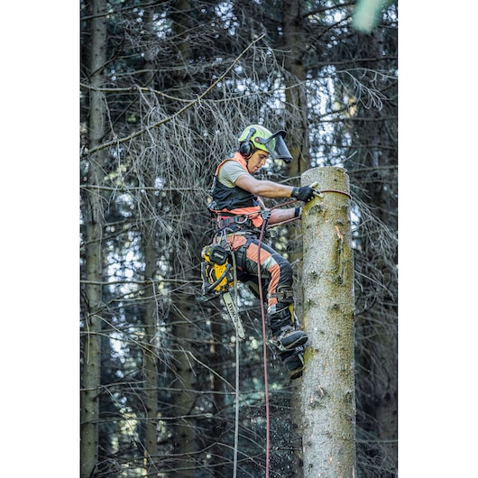 Arborist uses DEWALT chainsaw to cut tree while climbing, wearing safety gear in a forest setting.