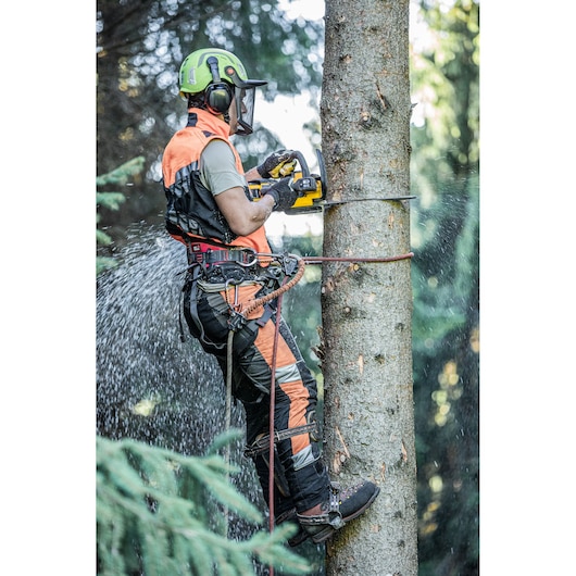 Worker with safety gear uses DEWALT chainsaw to cut tree while secured to trunk outdoors.