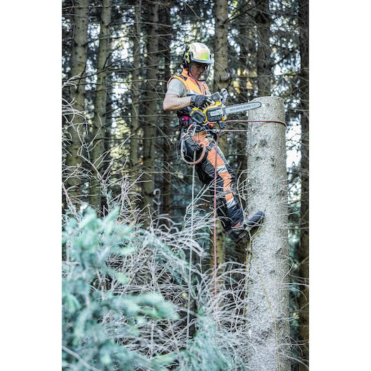 Worker in safety gear uses a DEWALT chainsaw to cut a tall tree in a forested area.