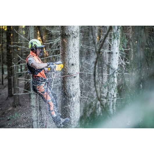 Worker using DEWALT chainsaw to cut tree in forest, wearing safety gear and helmet, sawdust flying.
