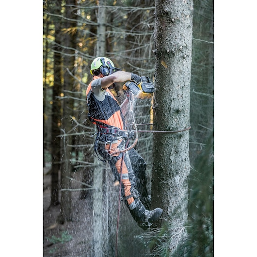 Worker using DEWALT chainsaw to cut tree while wearing safety gear and climbing harness in forest.