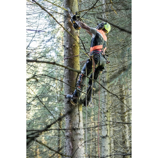 Person in safety gear uses a chainsaw to cut branches while climbing a tree in a forest with ropes.