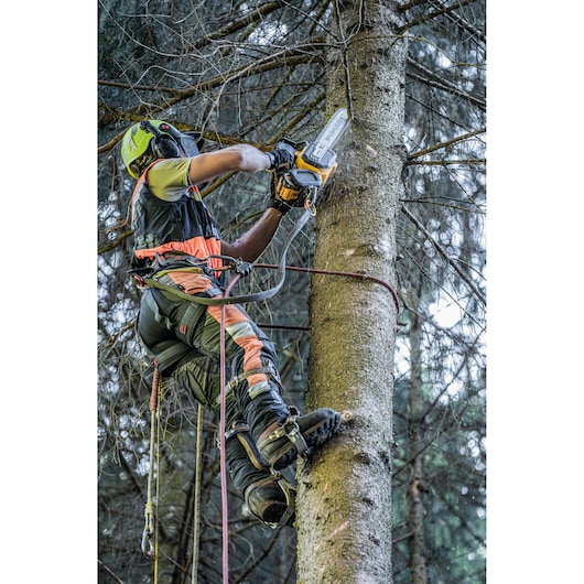 Worker uses DEWALT chainsaw when climbing a tree with safety gear in a forest.