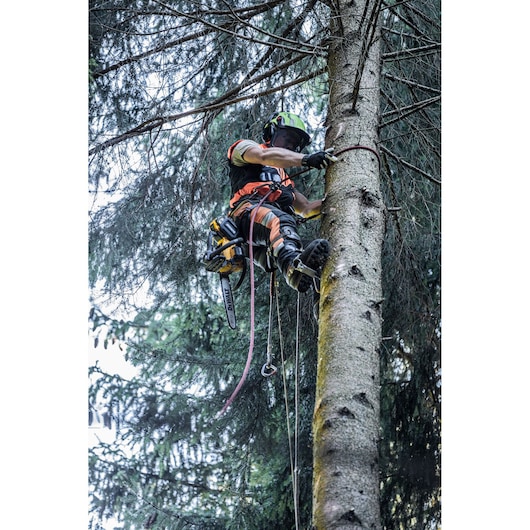 Worker uses a DEWALT chainsaw to cut a tree branch while climbing, wearing safety gear and a helmet.