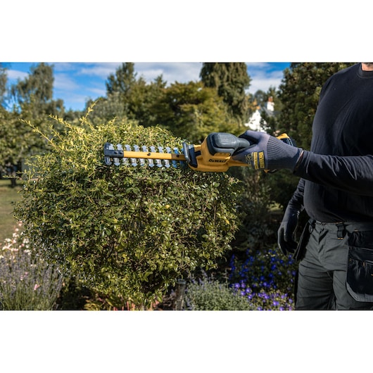 DEWALT hedge trimmer in use outdoors. SKUs: DCMHT520N-XJ, DCMHT520D1-QW, DCMHT520D1, DCMHT520N.