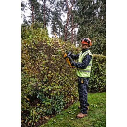 Person trimming hedge with DEWALT DCMHT563N cordless hedge trimmer outdoors, wearing safety gear.