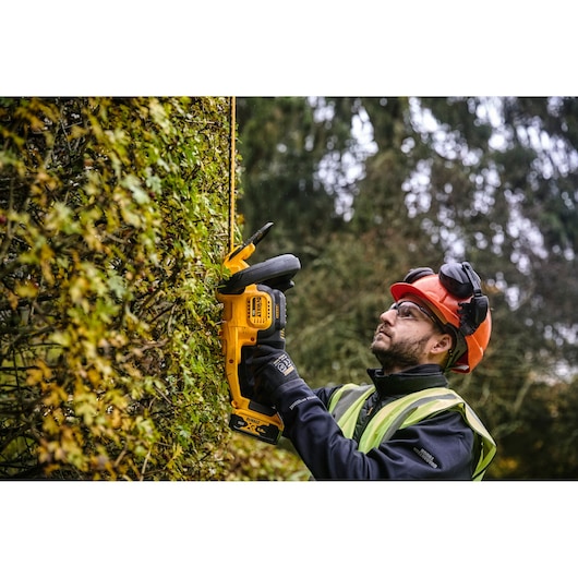 Person trims hedge with DEWALT DCMHT563P1 cordless hedge trimmer, wearing safety gear outdoors.