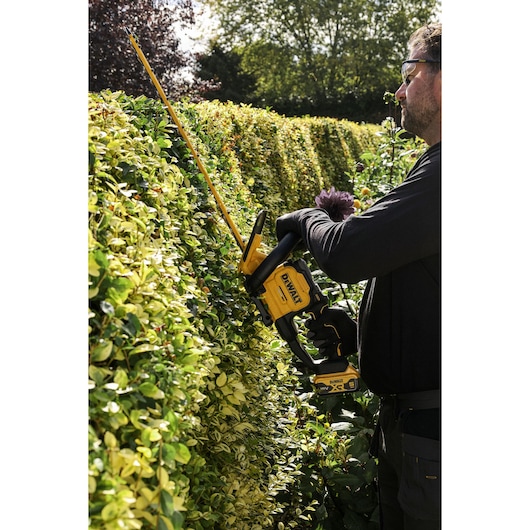 DEWALT hedge trimmer used outdoors. SKUs: DCMHT567N, DCMHT567P1-QW, DCMHT567N-XJ, DCMHT567P1.