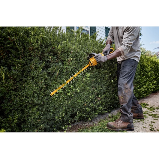 A person wearing gloves and work clothes uses a yellow DEWALT cordless hedge trimmer to trim green bushes in a garden.