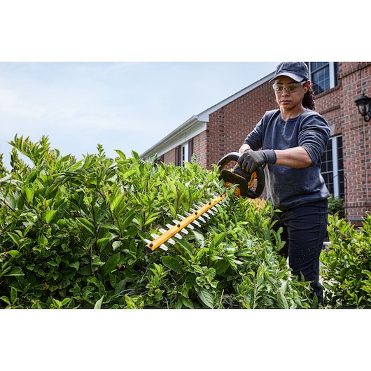 Person trims hedge with a DEWALT cordless hedge trimmer outside a brick house.
