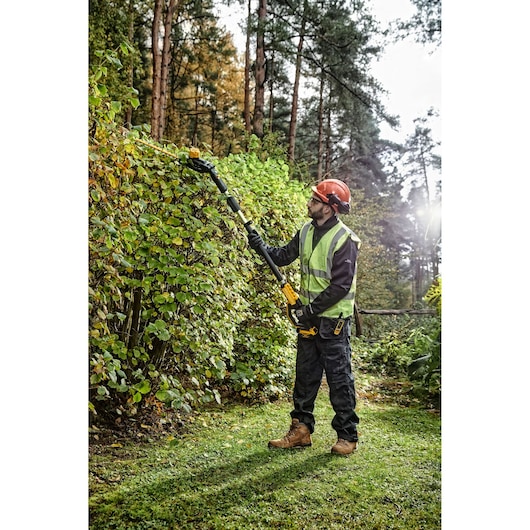 Person trimming tall hedges with a DEWALT cordless pole hedge trimmer outdoors, wearing safety gear.