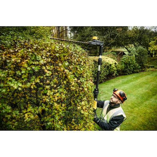 Person trims tall hedge with DEWALT pole hedge trimmer in garden, wearing safety gear.