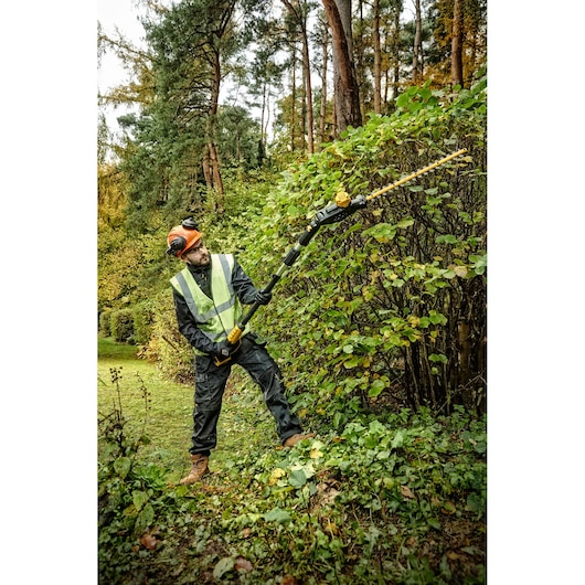 Person trimming tall bushes with a DEWALT pole hedge trimmer in a forest area, wearing safety gear and vest.