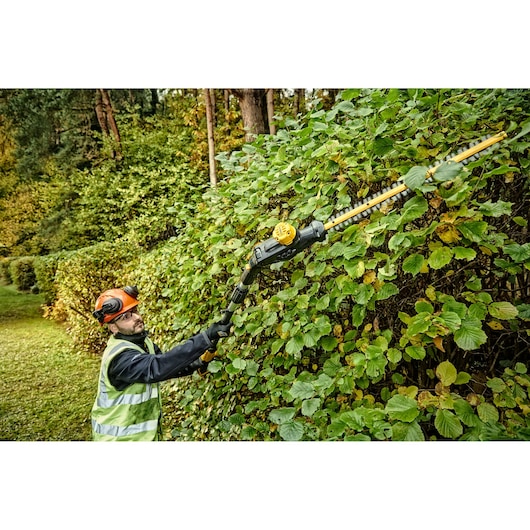 Person trimming tall hedge with DEWALT cordless pole hedge trimmer outdoors while wearing safety gear.