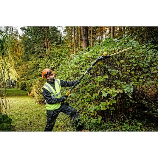 Person uses DEWALT pole hedge trimmer outdoors, cutting tall bushes while wearing safety gear.