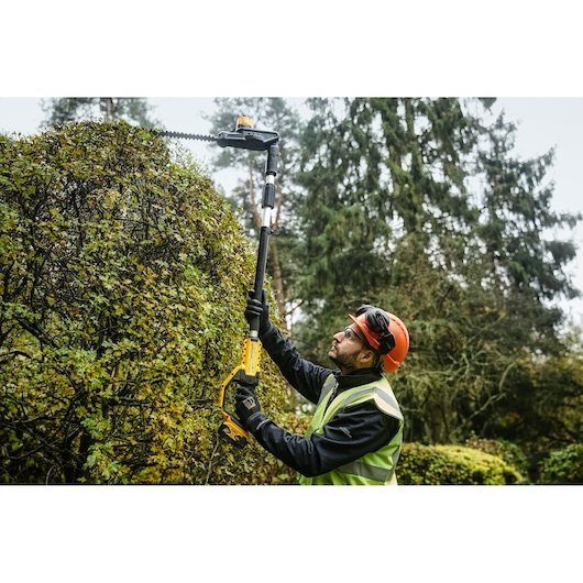 Person uses DEWALT cordless pole hedge trimmer outdoors, wearing safety gear and trimming tall hedges.