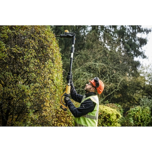 Person trims tall hedge outdoors with a DEWALT pole hedge trimmer wearing safety gear.