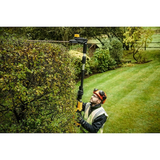 Person uses a DEWALT pole hedge trimmer outdoors to trim a tall bush in a garden.
