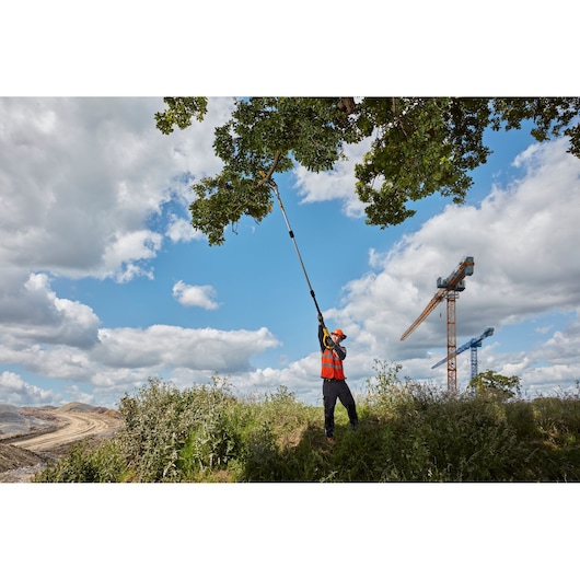 Person uses a DEWALT pole saw to trim high tree branches outdoors near construction cranes under a cloudy sky.