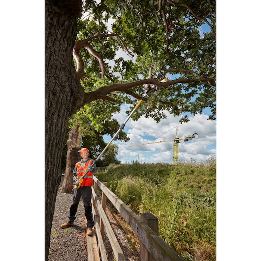 Worker using DEWALT pole saw to trim tree branches outdoors, wearing safety gear and hi-vis vest.