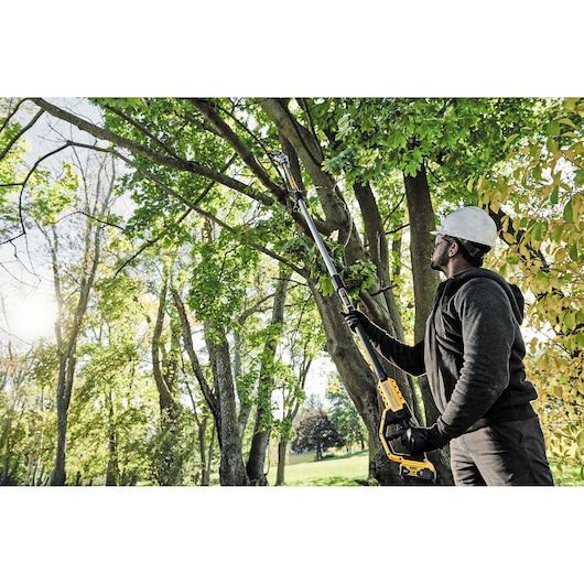 Person uses DEWALT pole saw to trim tree branches outdoors, wearing safety gear and gloves.