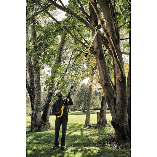 Person uses a DEWALT pole saw to trim high tree branches outdoors.