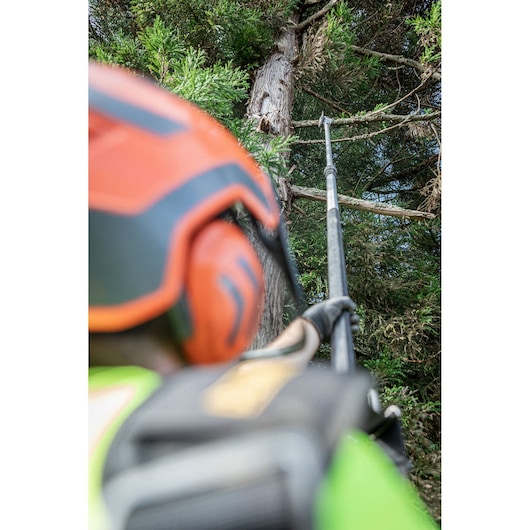 Person trimming high tree branches with a DEWALT pole saw, wearing a helmet and safety gear outdoors.
