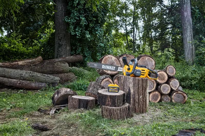 Une tronçonneuse sans fil DEWALT et une batterie sont posées sur des souches d’arbres coupés à l’extérieur, avec des bûches empilées et des arbres en arrière-plan.
