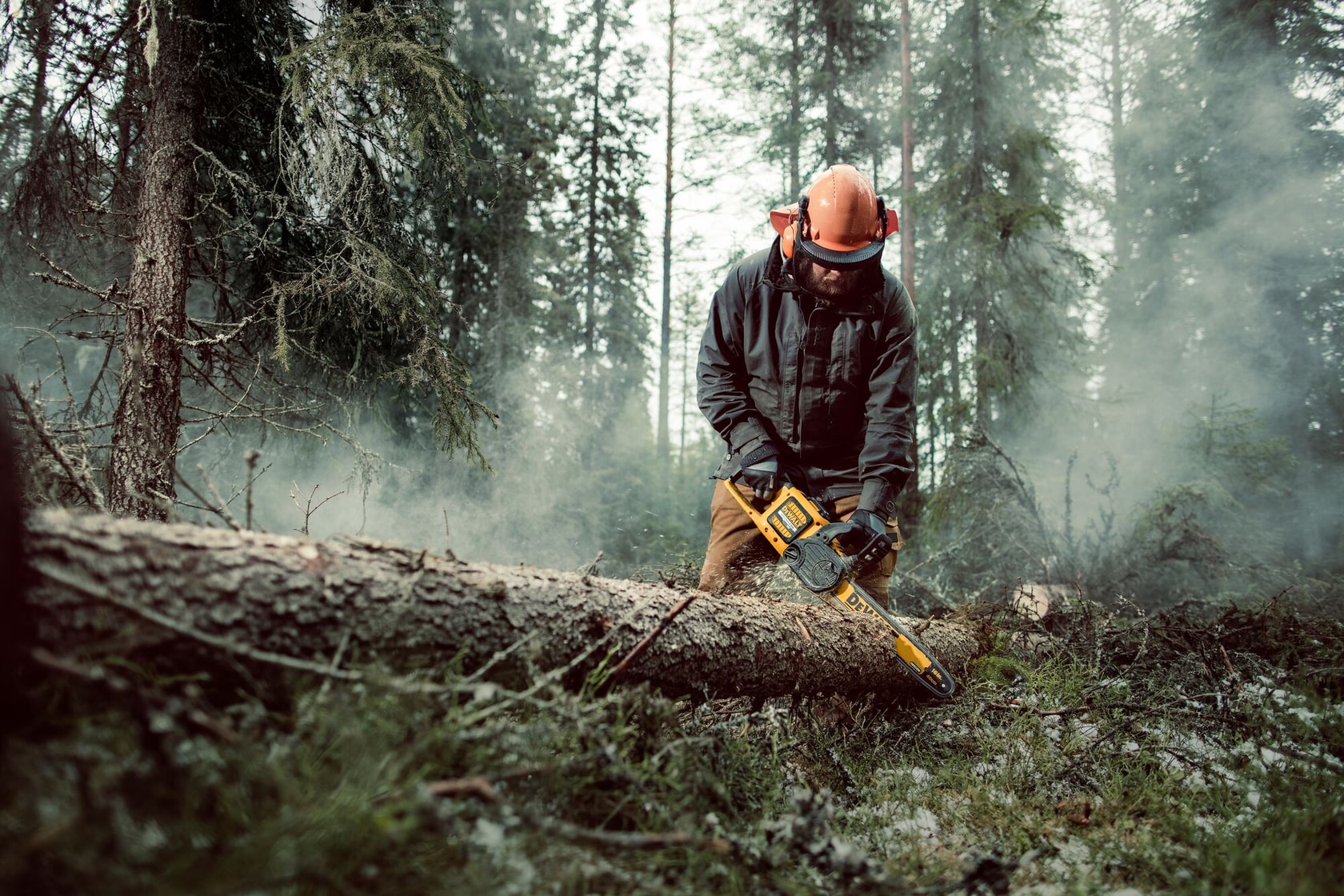 Personne coupant un arbre tombé avec une tronçonneuse DEWALT dans une forêt brumeuse, équipement de protection.
